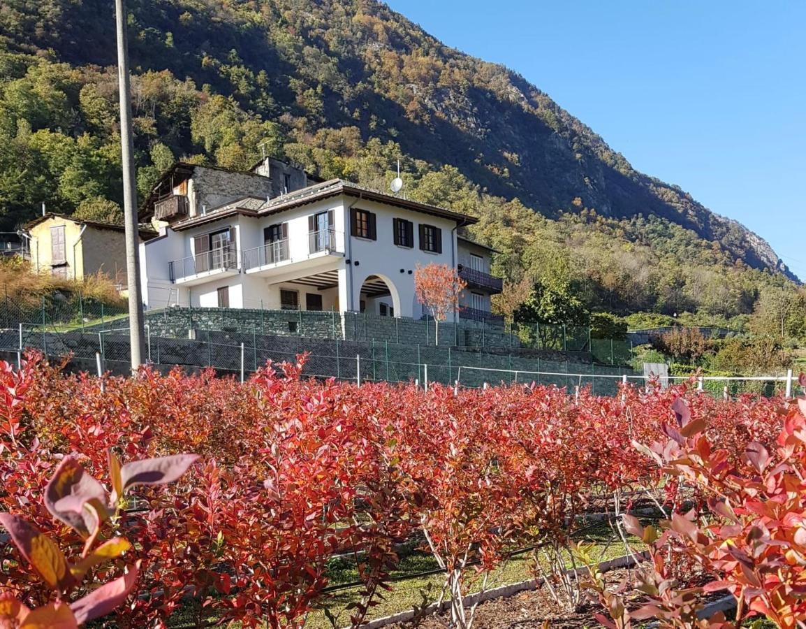 Guest House Le Cassandre Sondrio Buitenkant foto